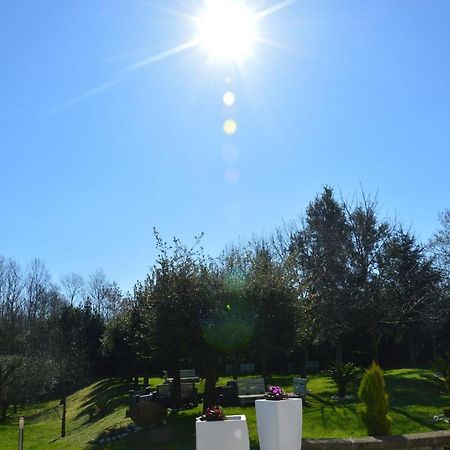Tenuta Terra Tefra Villa Conca della Campania Exteriör bild