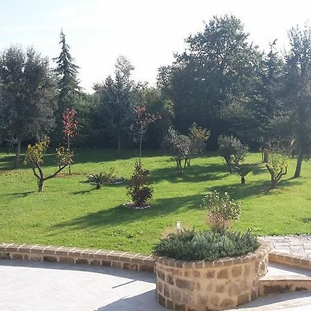 Tenuta Terra Tefra Villa Conca della Campania Exteriör bild