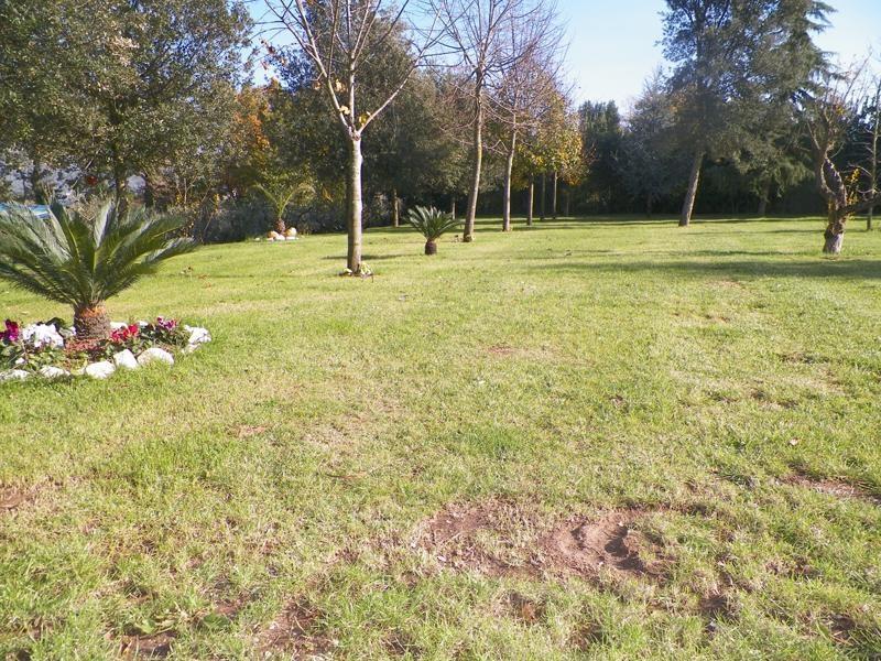 Tenuta Terra Tefra Villa Conca della Campania Exteriör bild